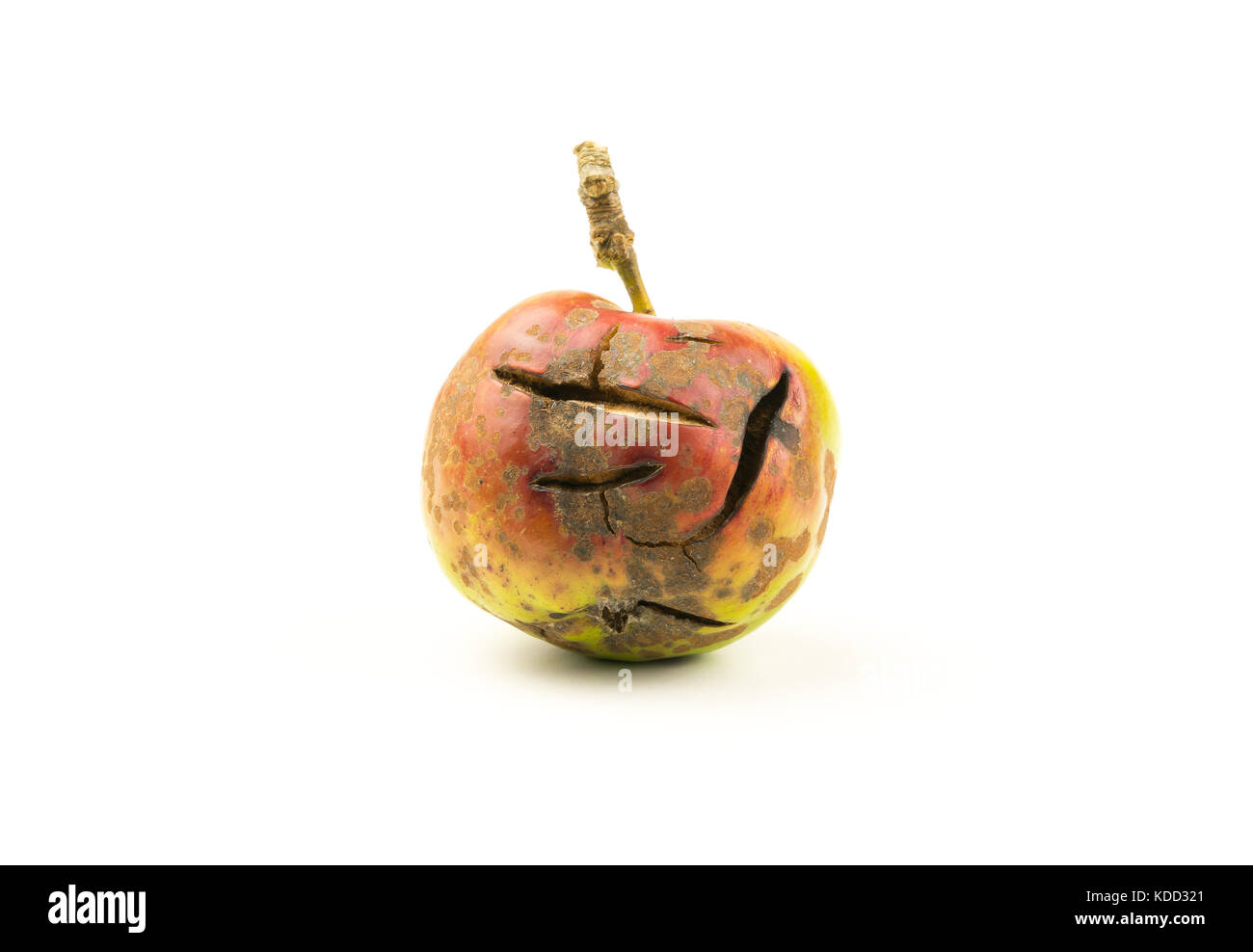 Geknackt Apple auf einem weißen Hintergrund mit Text Raum. verbotene Frucht/ungesunde Ernährung Konzept Stockfoto