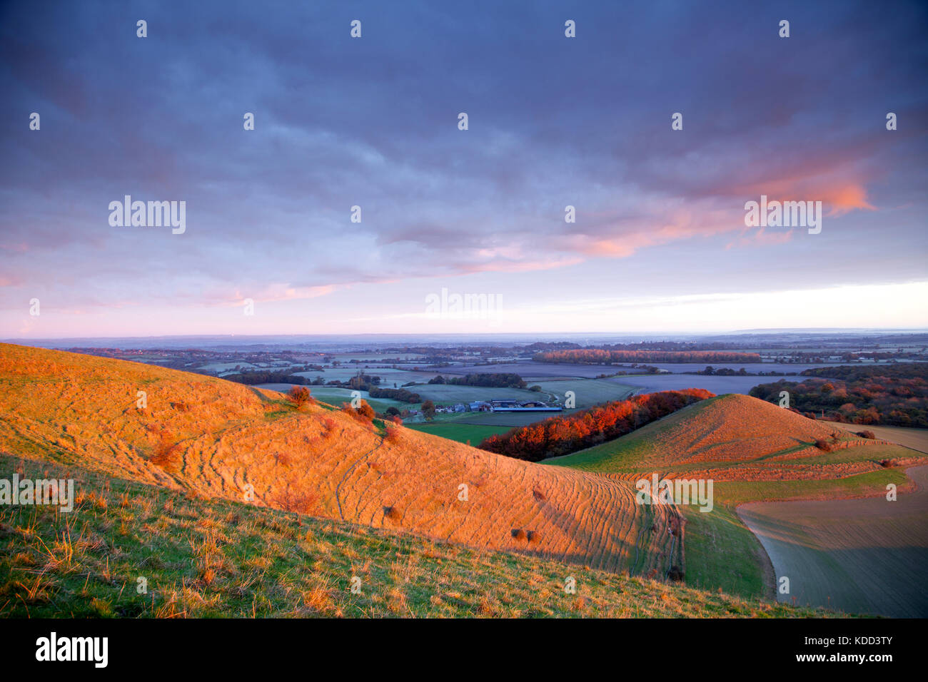 Cley Hügel in der Nähe Warminster in Wiltshire. Stockfoto