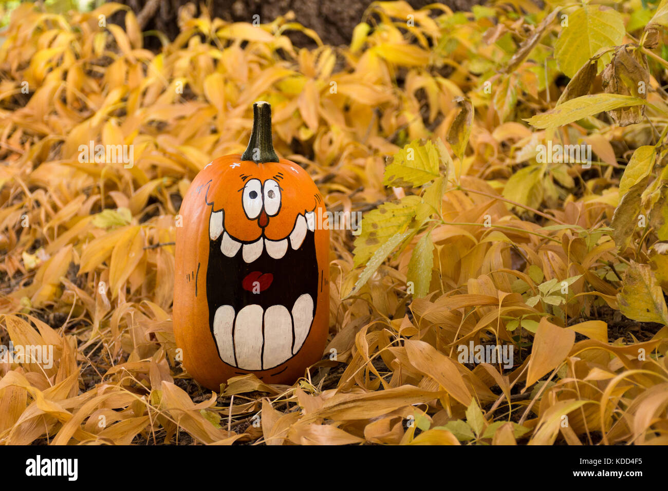 Nahaufnahme der ein handgemaltes lachend Jack o'Lantern unter getrocknete Blätter mit einem Baum im Hintergrund. geringe Tiefenschärfe. Stockfoto
