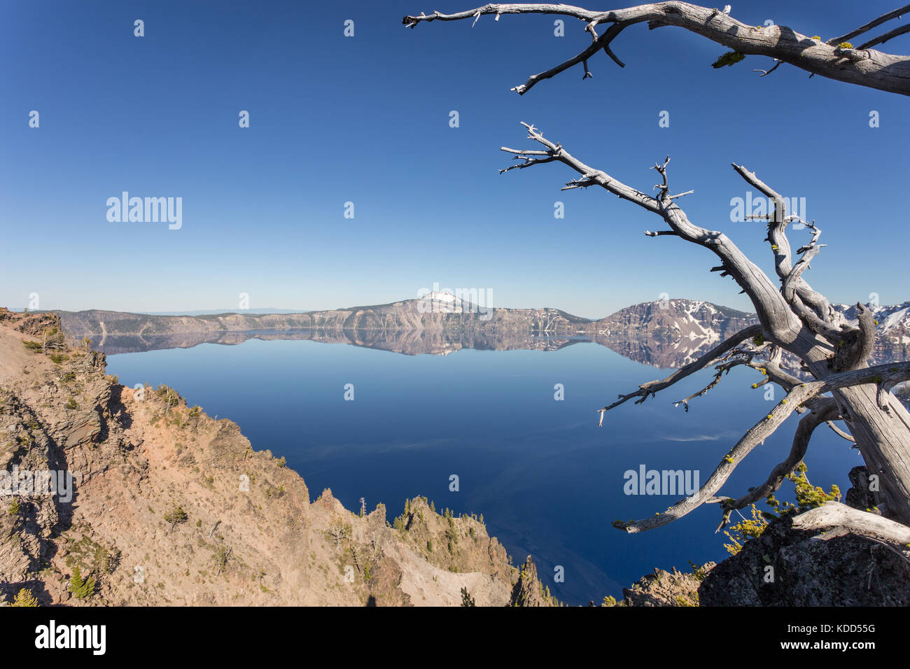 Ein perfektes Spiegelbild der Rand der Crater Lake in Oregon im pazifischen Nordwesten, USA Stockfoto