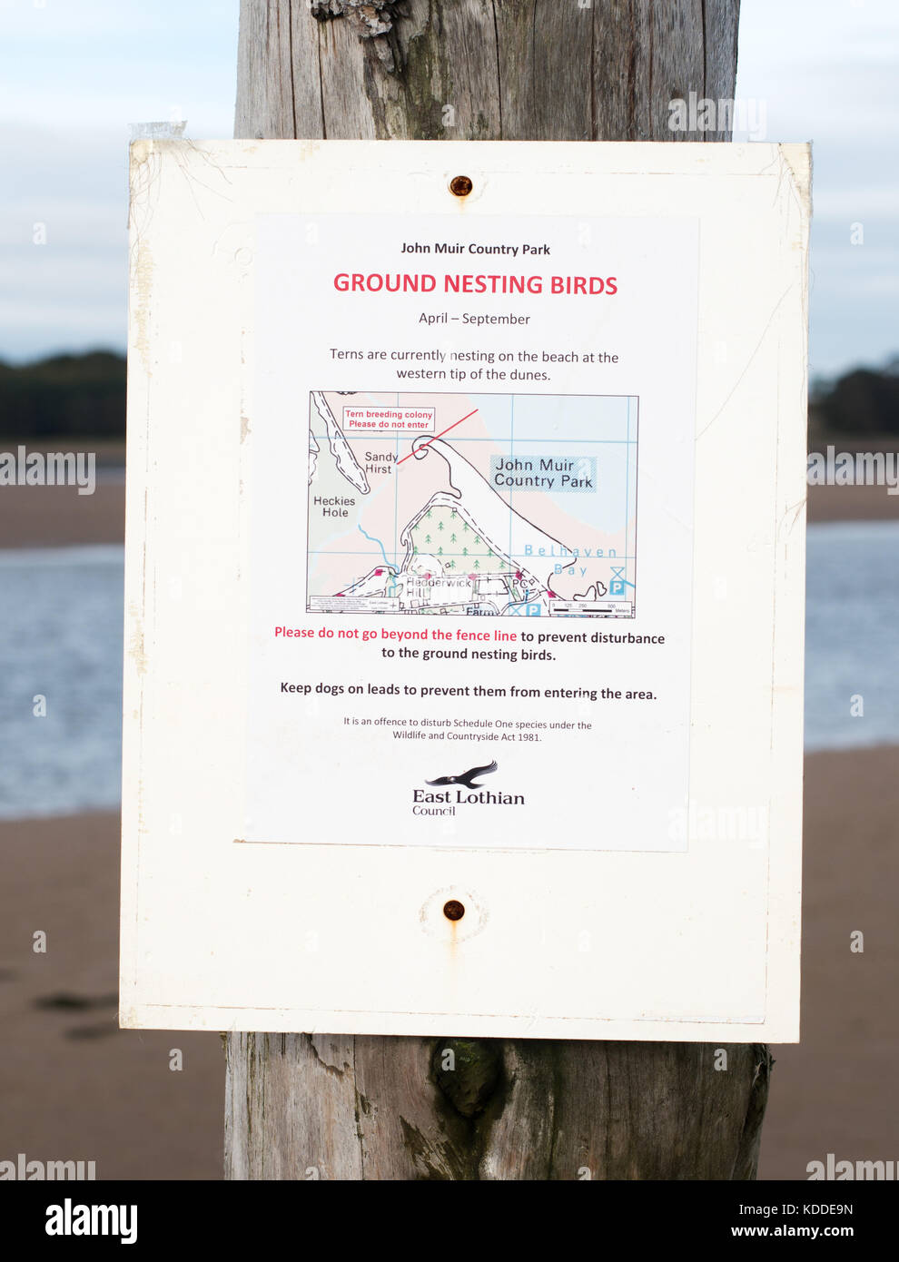 Ein Hinweis in der John Muir Country Park, aus der die Menschen ersehen können, zu vermeiden, wo es Boden nistende Vögel, Dunbar, Schottland Stockfoto