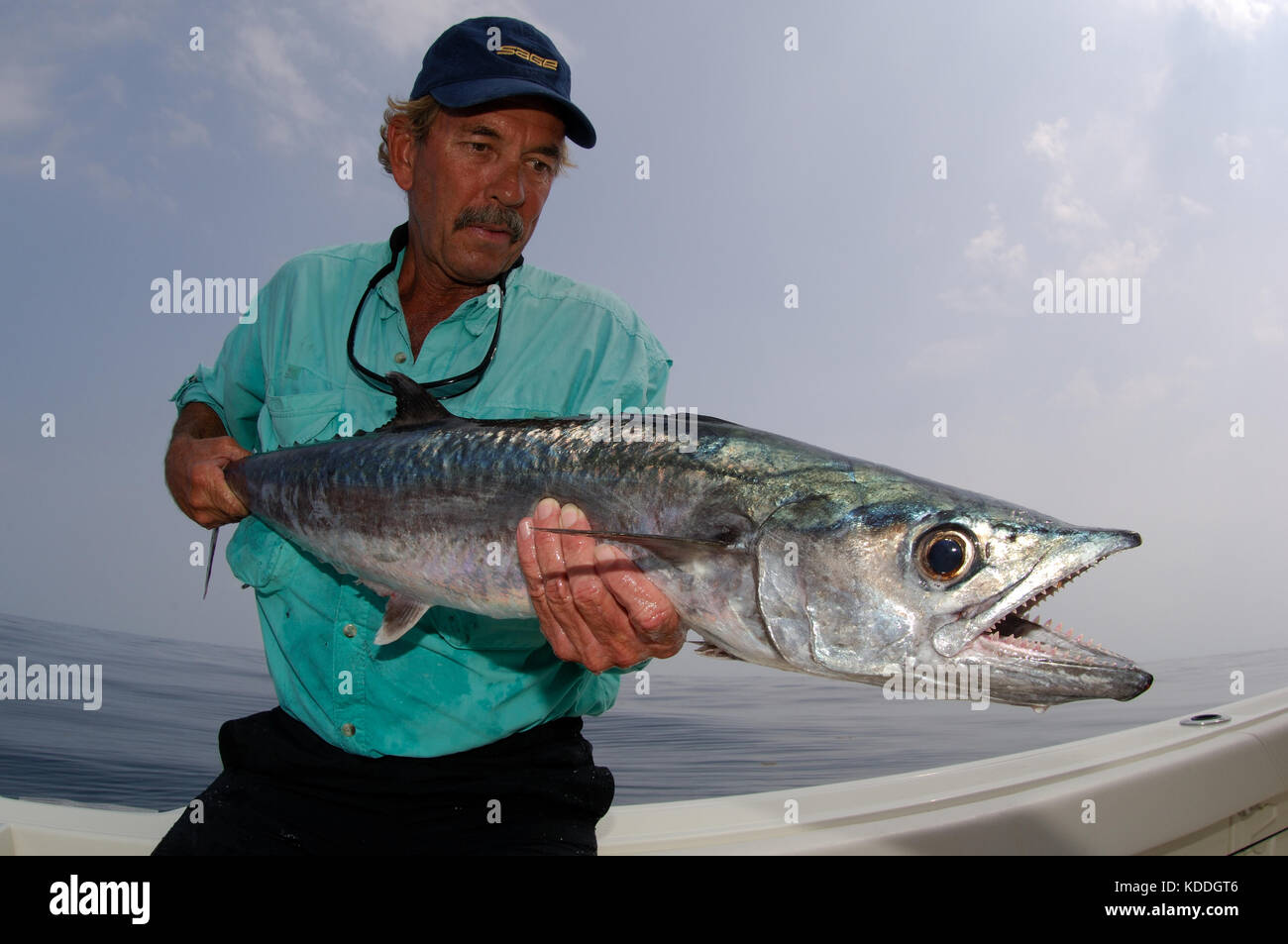 Ein Fischer mit einem kingfish oder König Makrele gefangen, während Fliegenfischen offshore von Freeport, Texas Stockfoto