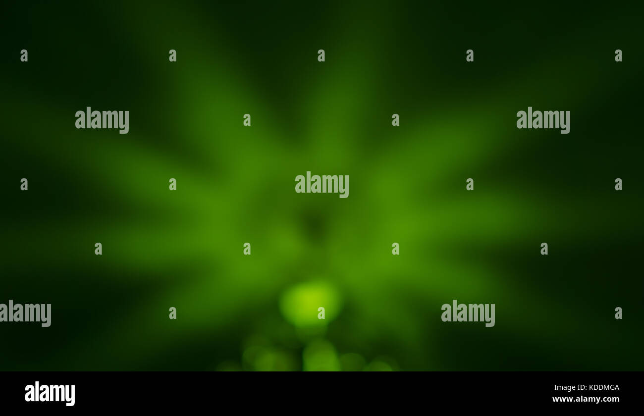 Blur Spotlight-Effekt auf grünem Hintergrund freier Platz Stockfoto