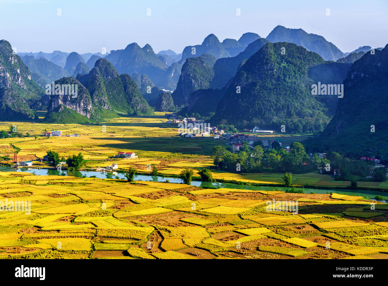 Berg, Reis und Reis Feld in Trung Khanh, Cao Bang, Vietnam. Landschaft der Gegend Trung Khanh, Cao Bang, Vietnam. Stockfoto