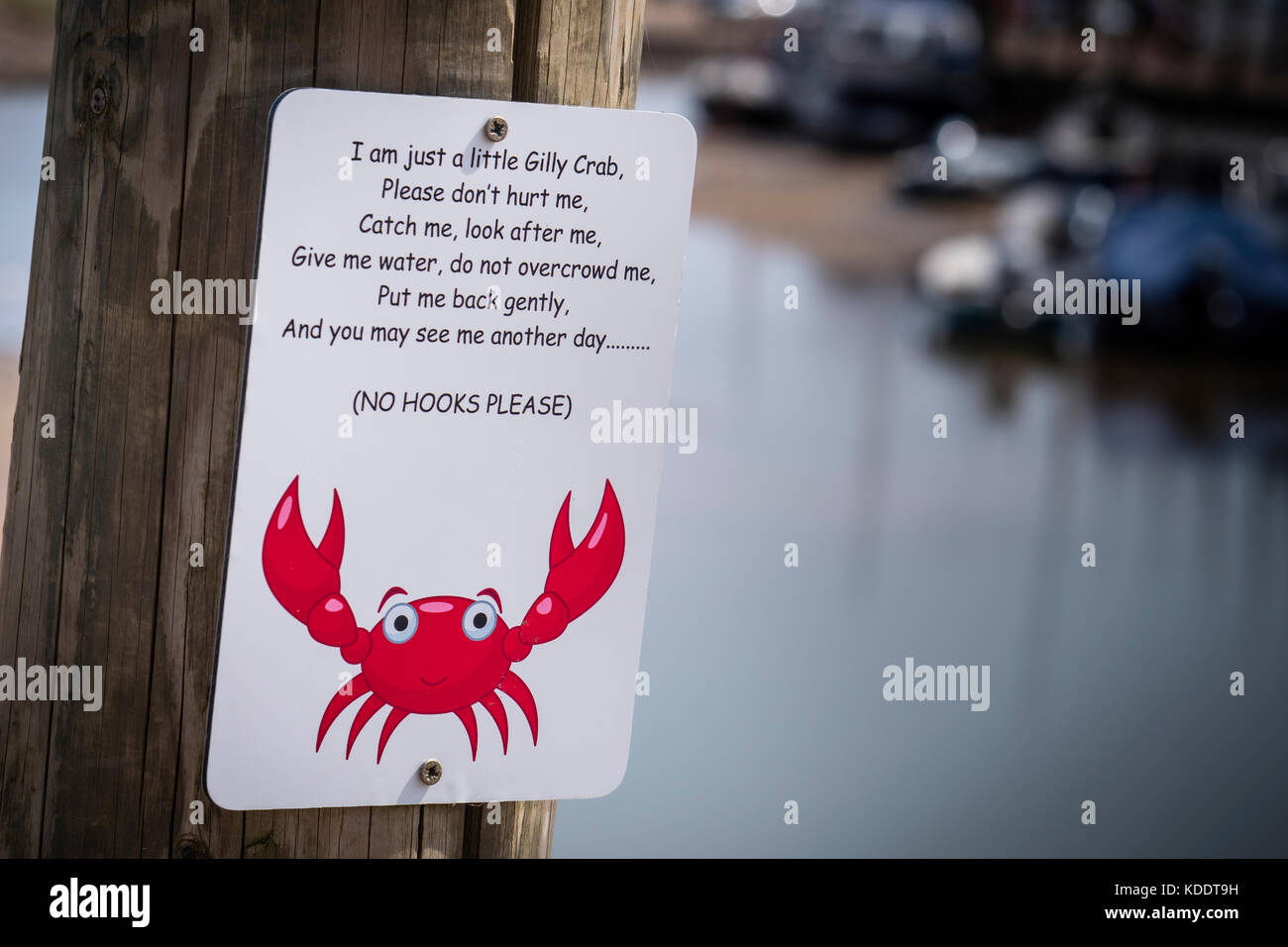 Krachender Blakeney Point Blakeney Norfolk England Stockfoto
