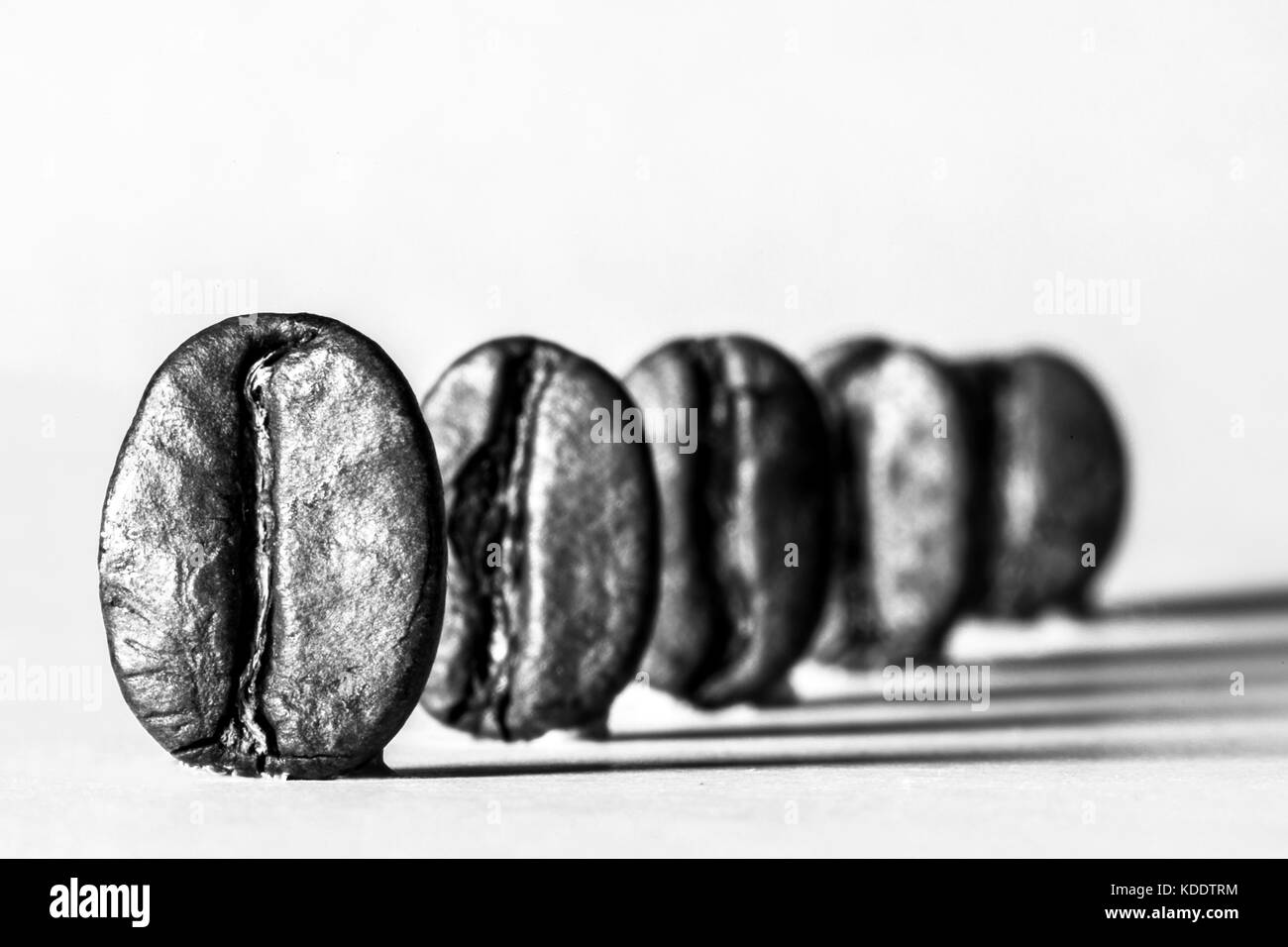 Kaffeebohnen in einer Reihe stehend Stockfoto