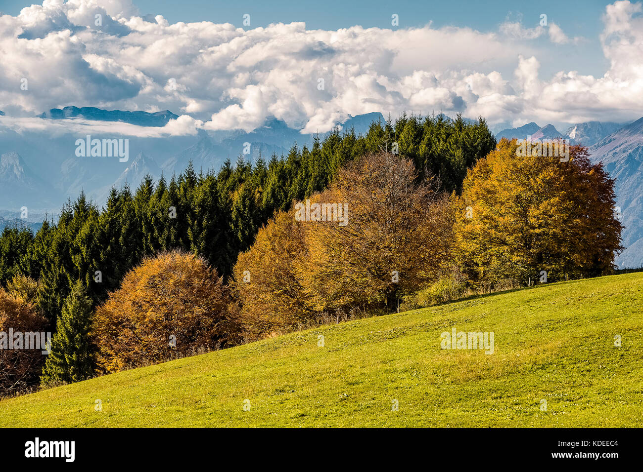 Italien Venetien cansiglio - alpago - col indes Stockfoto