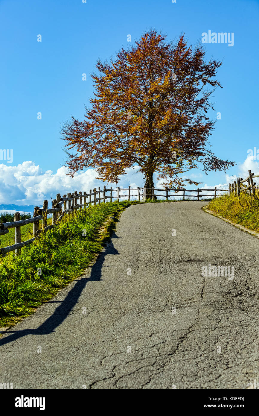 Italien Venetien cansiglio - alpago - col indes Stockfoto