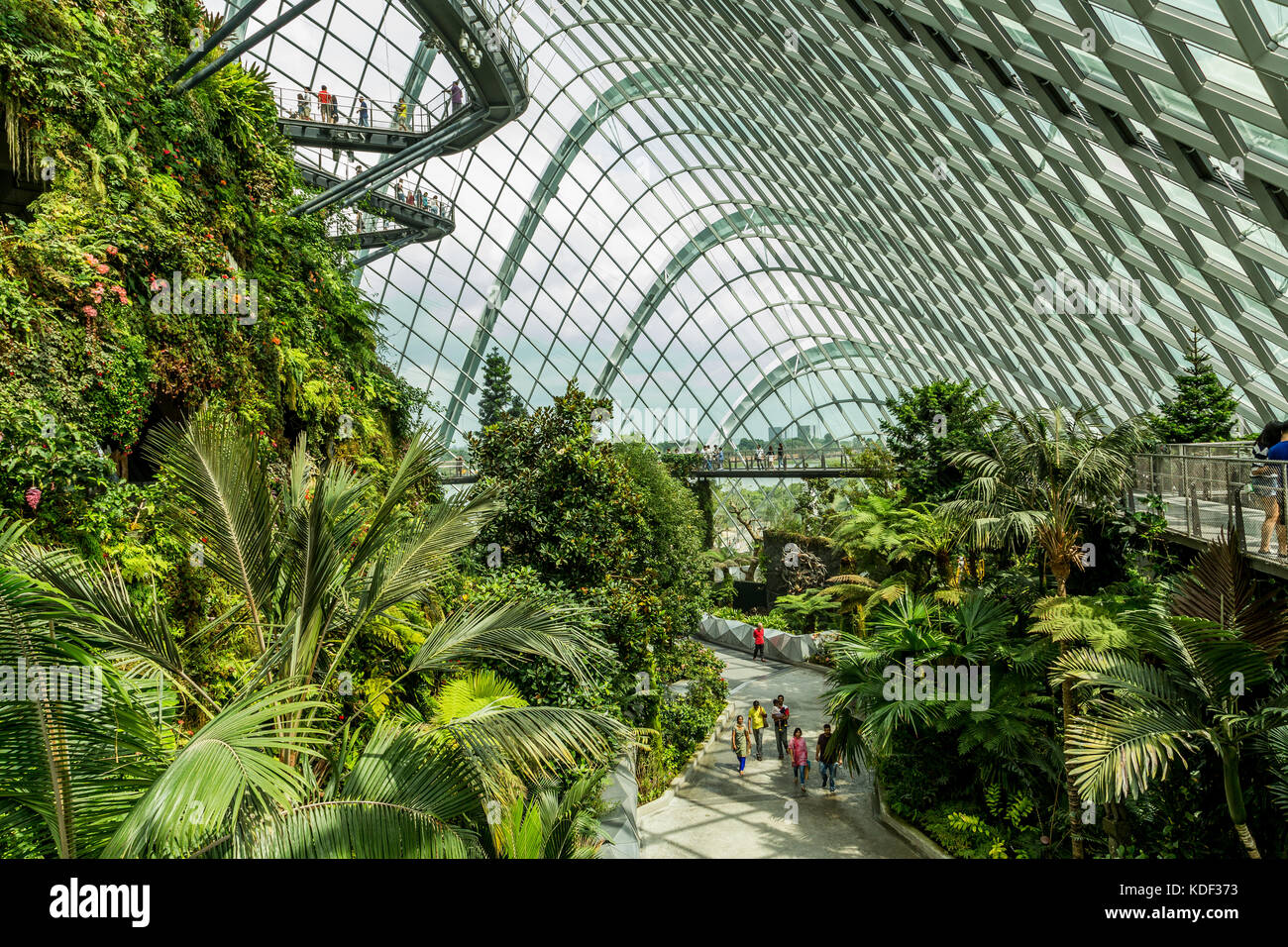 Indoor Cloud Forest Dome, Singapur Stockfoto