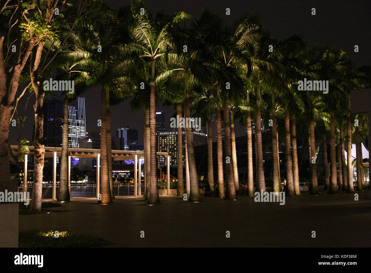 Palmen in der Marina Bay Sands, Singapur Stockfoto