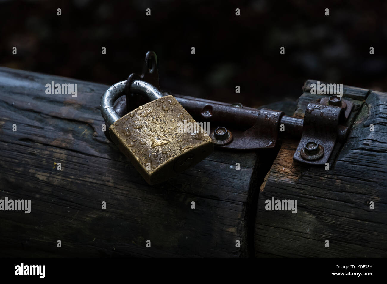 Regen fällt auf ein Vorhängeschloss und Schraube ein holztor. Stockfoto