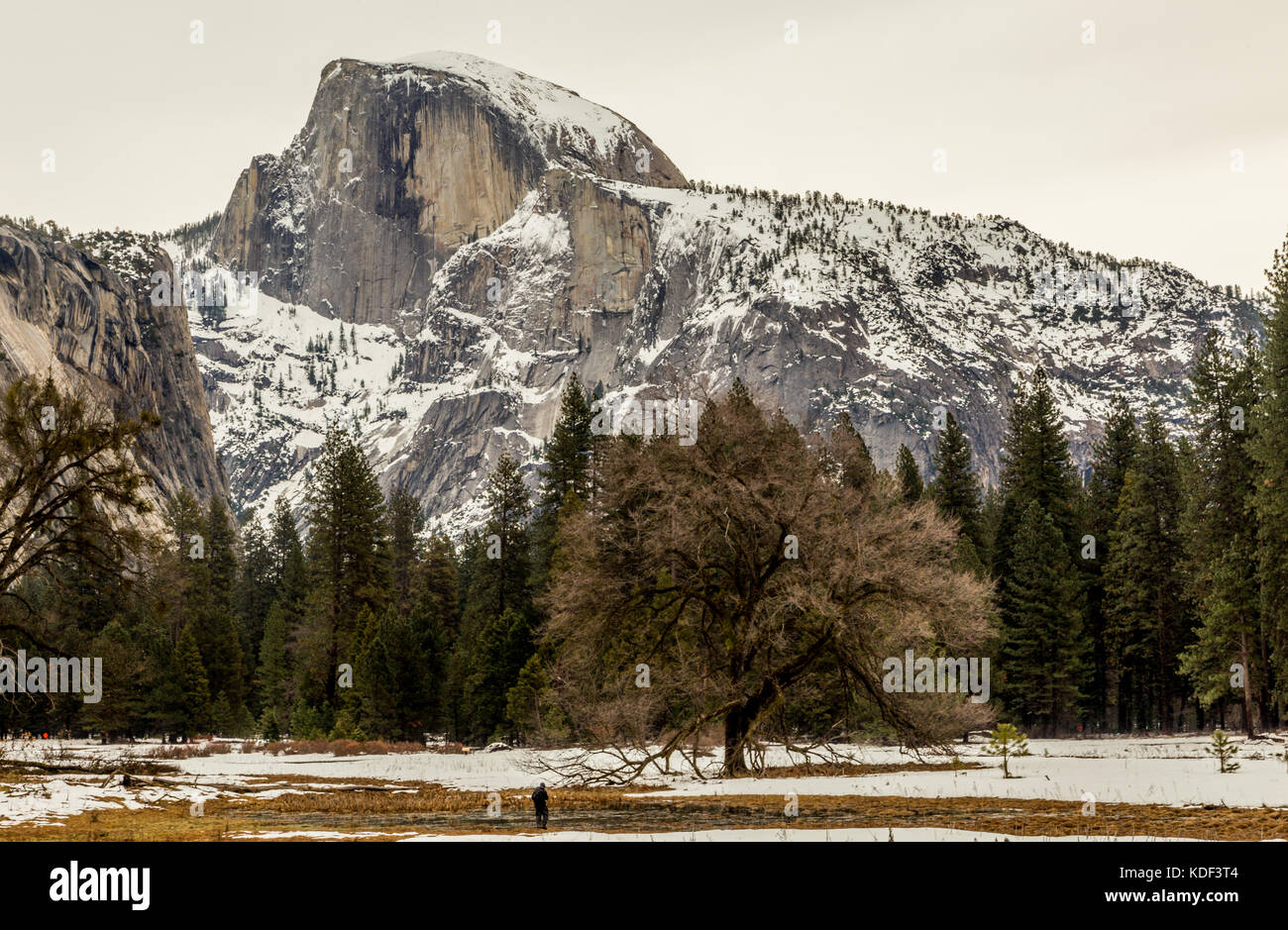 Half Dome, Yosemite National Park, Kalifornien, Amerika Stockfoto