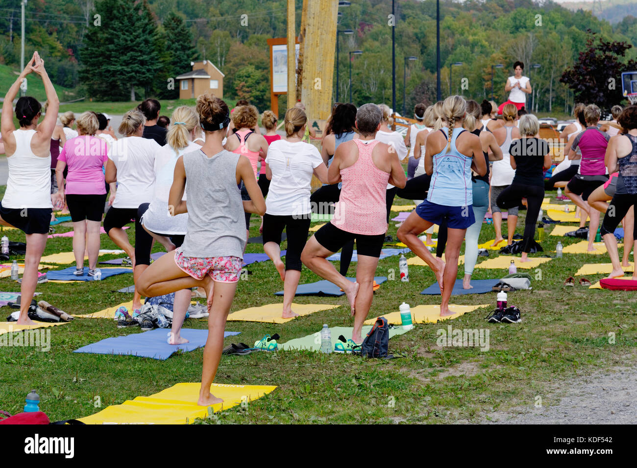 Ein im Freien Yogastunde am Mont Sainte Anne in Quebec, Kanada Stockfoto