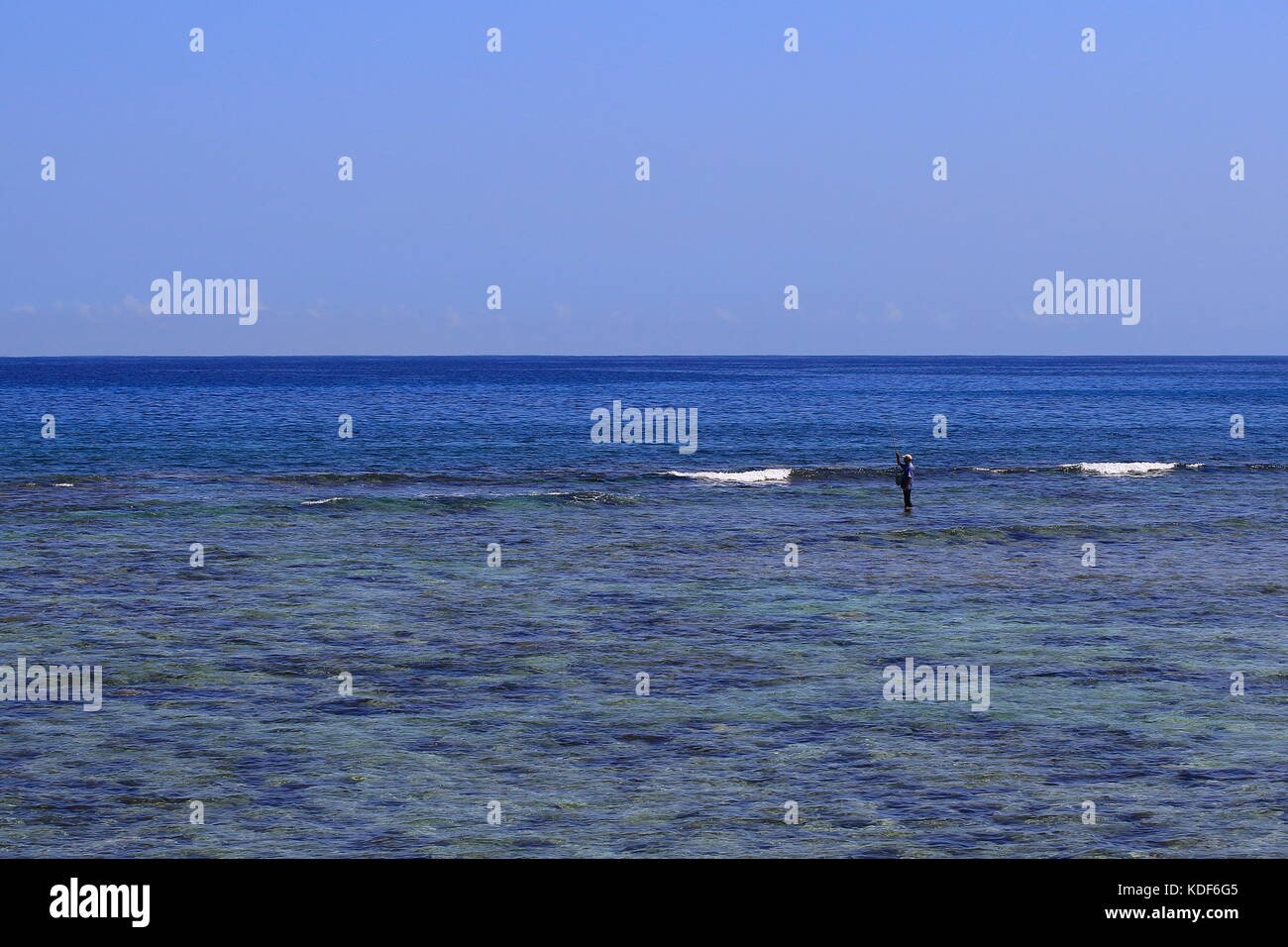 Einsame Fliegenfischer in einem breiten Blue Bay im Querformat mit Kopie Raum Stockfoto