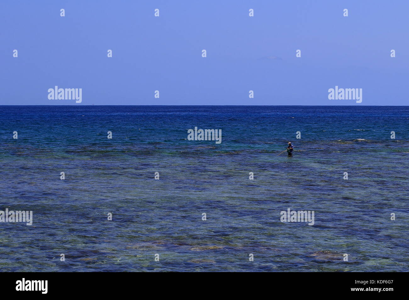 Einsame Fliegenfischer in einem breiten Blue Bay im Querformat mit Kopie Raum Stockfoto