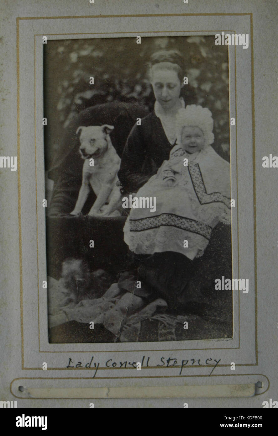 Meriel Bull Mit einem foto von ihrem bullterrier -Fotos und -Bildmaterial in hoher ...