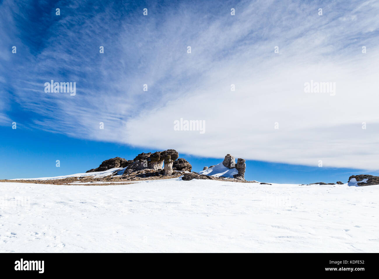 Pilz Steine und Alpine Tundra im Rocky Mountain National Park Stockfoto