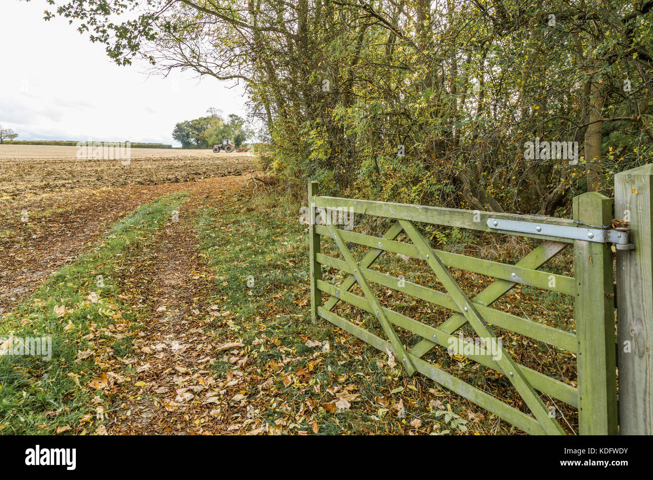 Ein Roter Traktor in ein Feld angezeigt, in herbstlichen Farben und Ackerland Stockfoto