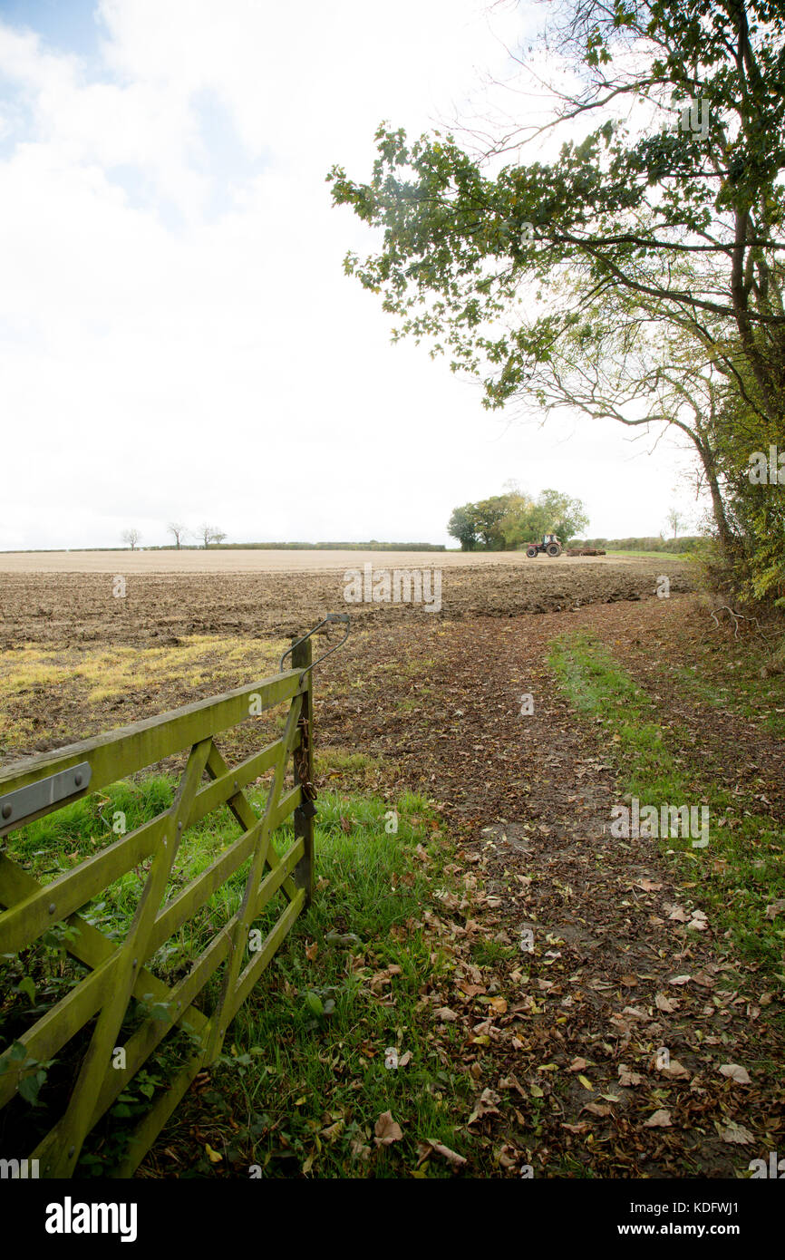 Ein Roter Traktor in ein Feld angezeigt, in herbstlichen Farben und Ackerland Stockfoto