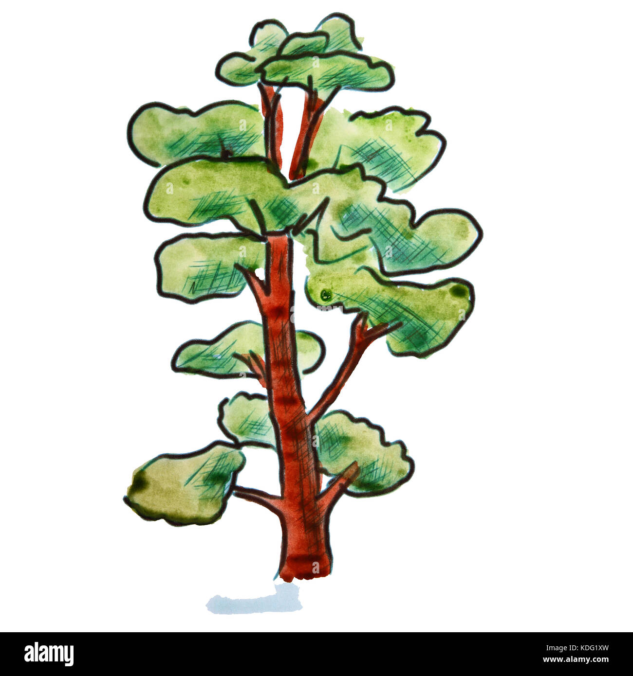 Aquarell Baum hellgrün Cartoon Figur, auf weißem Hintergrund Stockfoto