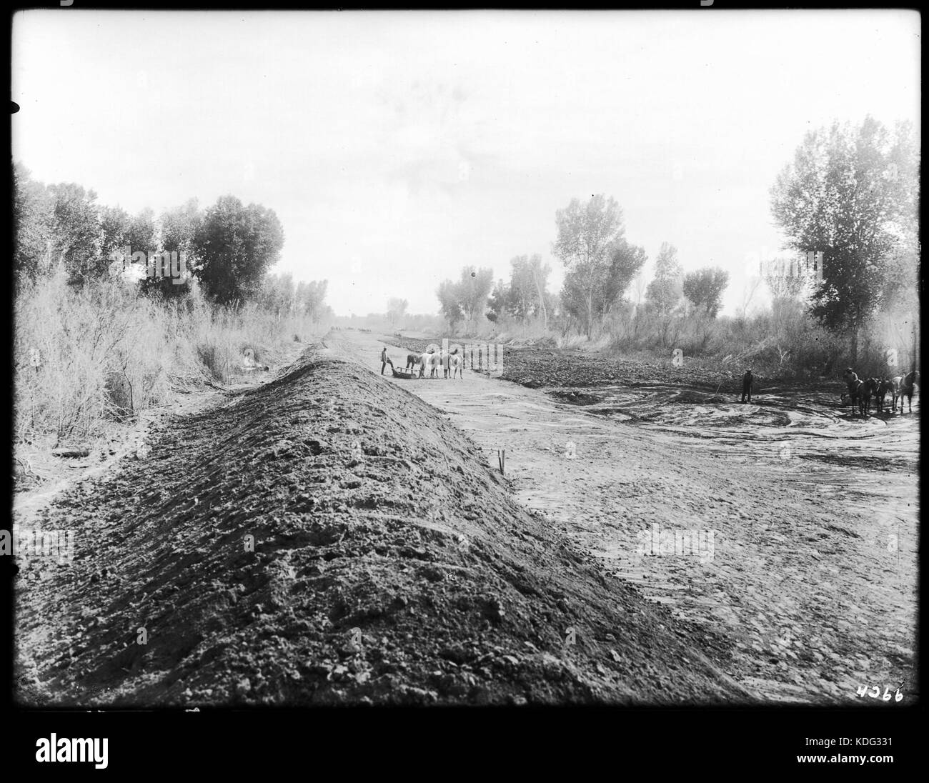 Männer und Pferde Arbeiten am Deich am Südufer des Kanals in der Nähe des Colorado River, ca. 1903 (CHS 4266) Stockfoto