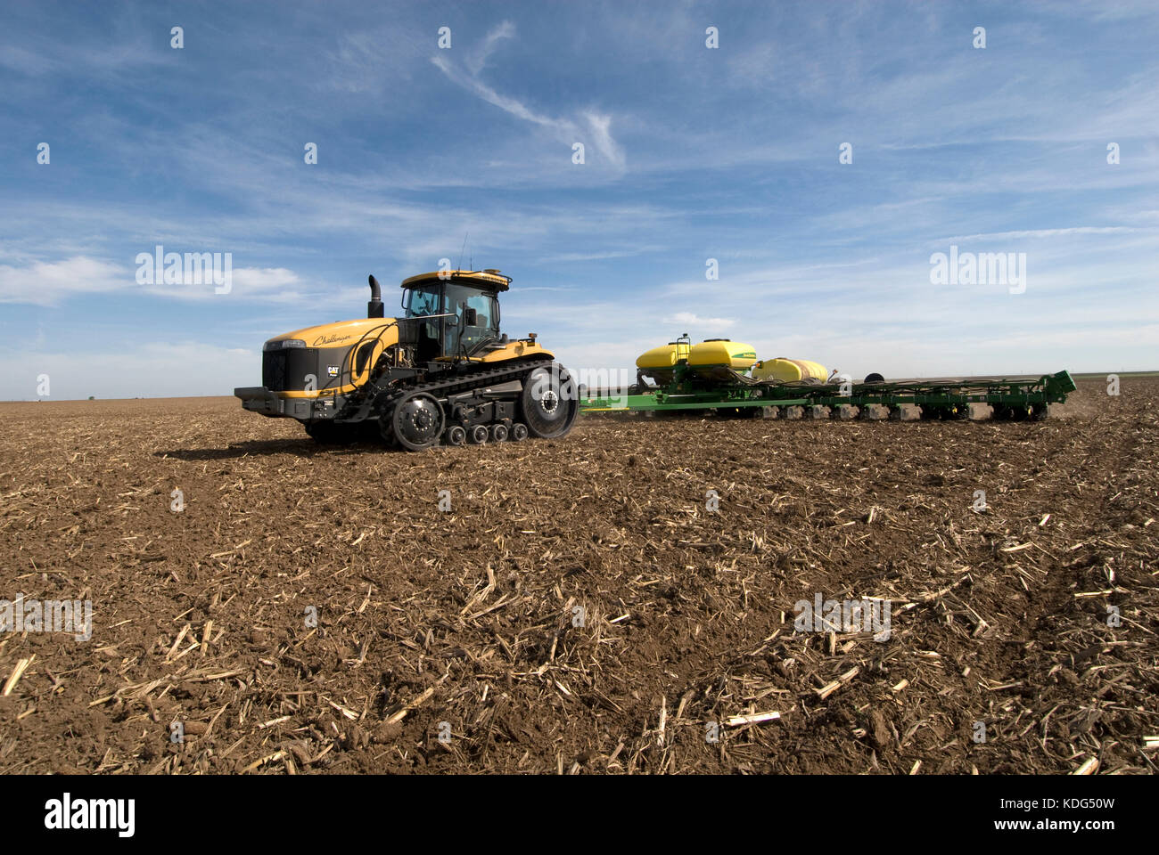 Cat Challenger Traktor Planting Cotton mit einem John Deere 24 Reihensaat-Pflanzmaschine in Mais der Arbeitsscheinwerfer zur Kontrolle der Schnitthöhe Stockfoto