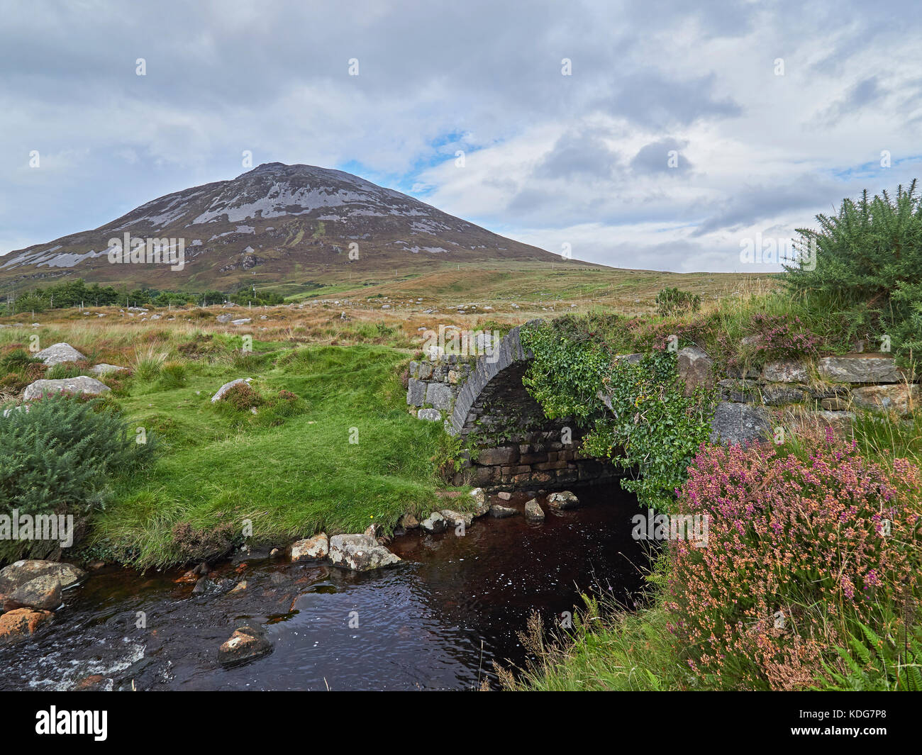 Vergiftet Glen Blick auf Mount Errigal Letterkenny County Donegal Irland Stockfoto