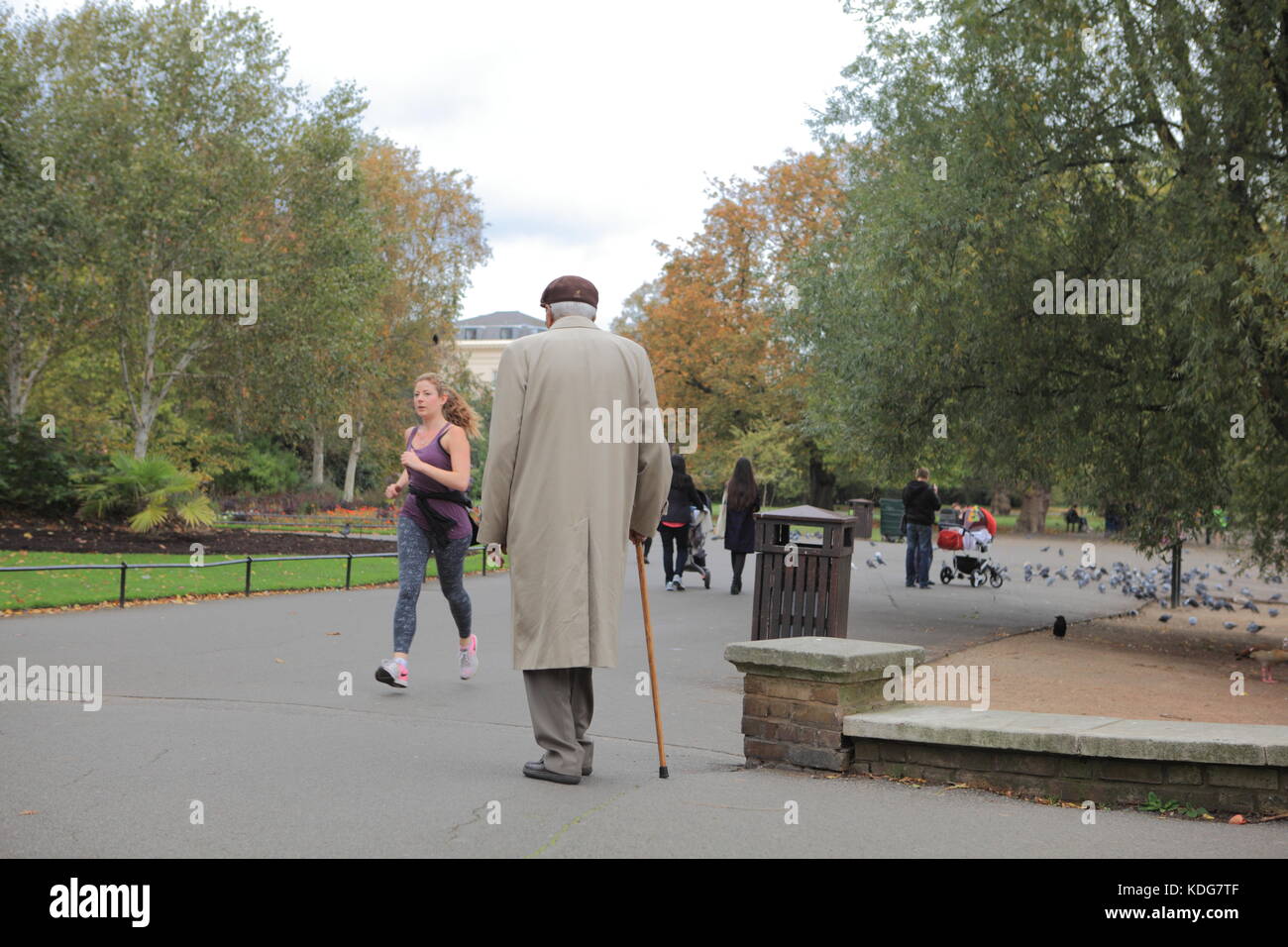 Alte asiatische Mann mit weißem Haar wandern im Regents Park, London, mit einem Stock Stockfoto