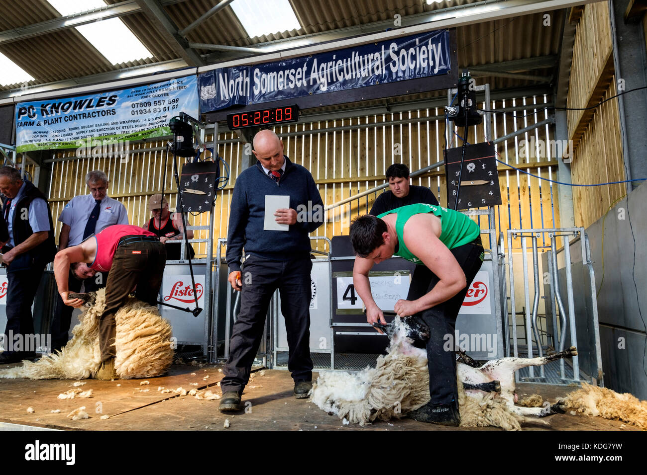 Schafe scheren contest North Somerset Landwirtschaft zeigen Stockfoto