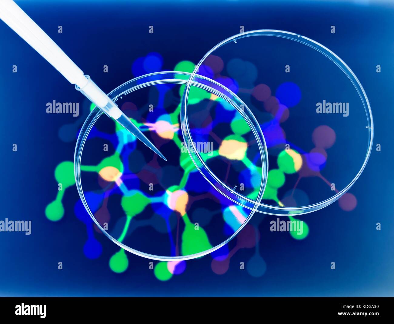 Fotogramm Wirkung über mehrere Aufnahmen eines molekularen Modell, Pipettieren und Petrischalen der reinen Forschung zu veranschaulichen. Stockfoto