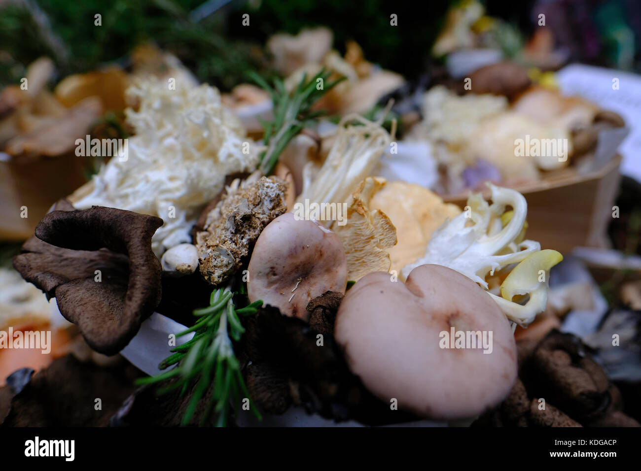 Herbst auf dem Borough Market, SE1, London, Vereinigtes Königreich Stockfoto