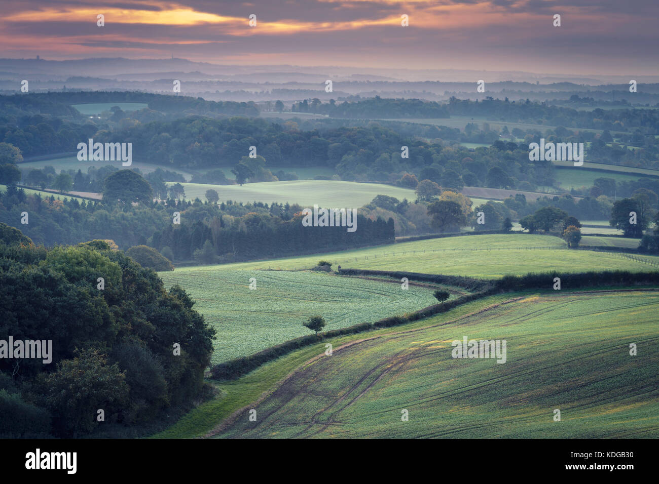 Britische Landschaft Felder im Herbst Stockfoto