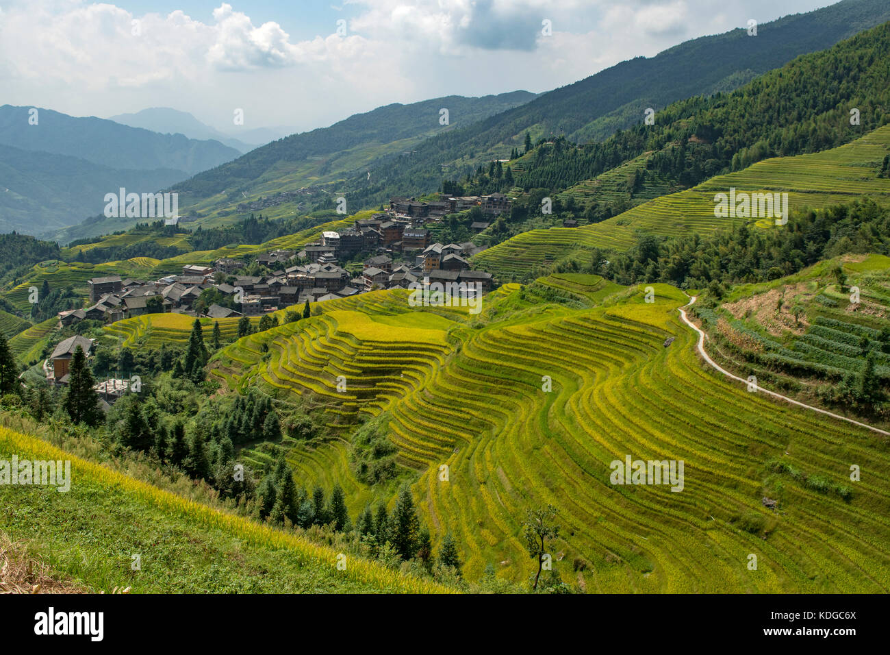 Longji Terraced Rice Fields, longsheng, Guangxi, China Stockfoto