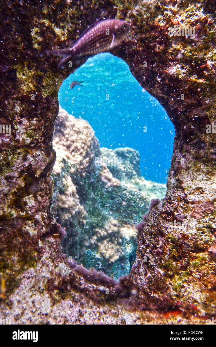 Ein Unterwasser-shot zeigt eine natürliche Fenster geschnitzt mit einer spektakulären Aussicht. Schuß an Bahar ic-Caghaq in der Mittelmeer insel Malta Stockfoto