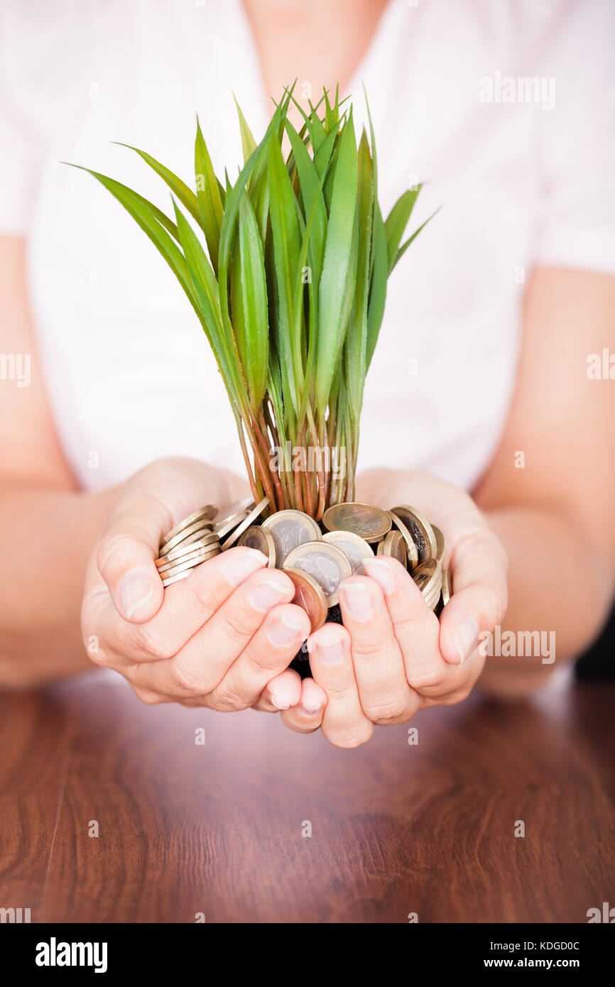 Nahaufnahme der Hand mit einer Pflanze, die aus einem Haufen von Münzen Stockfoto