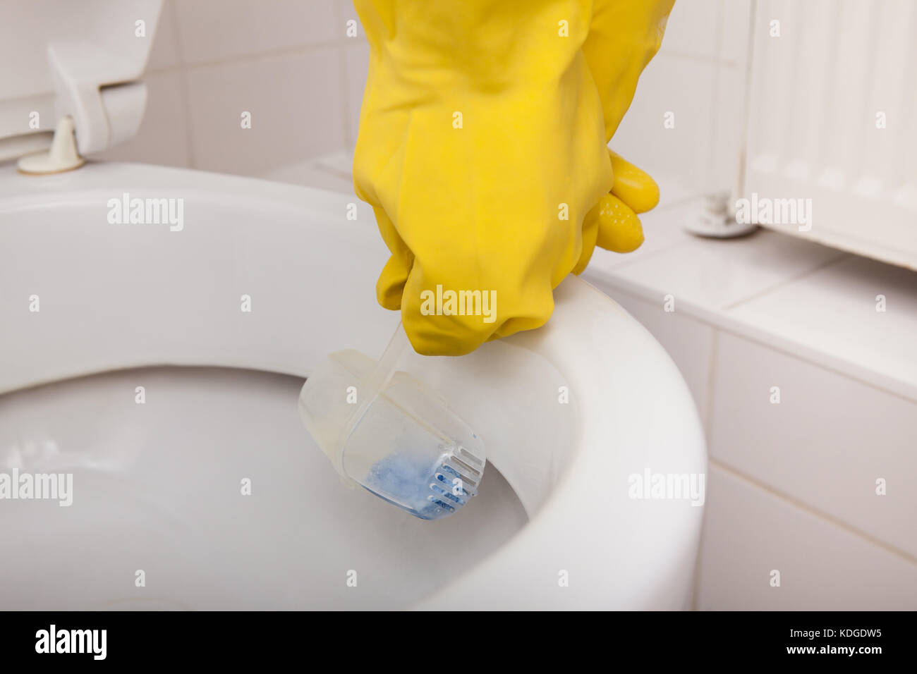 Nahaufnahme einer Person Hand tragen Handschuhe ersetzen WC-Spüler Stockfoto