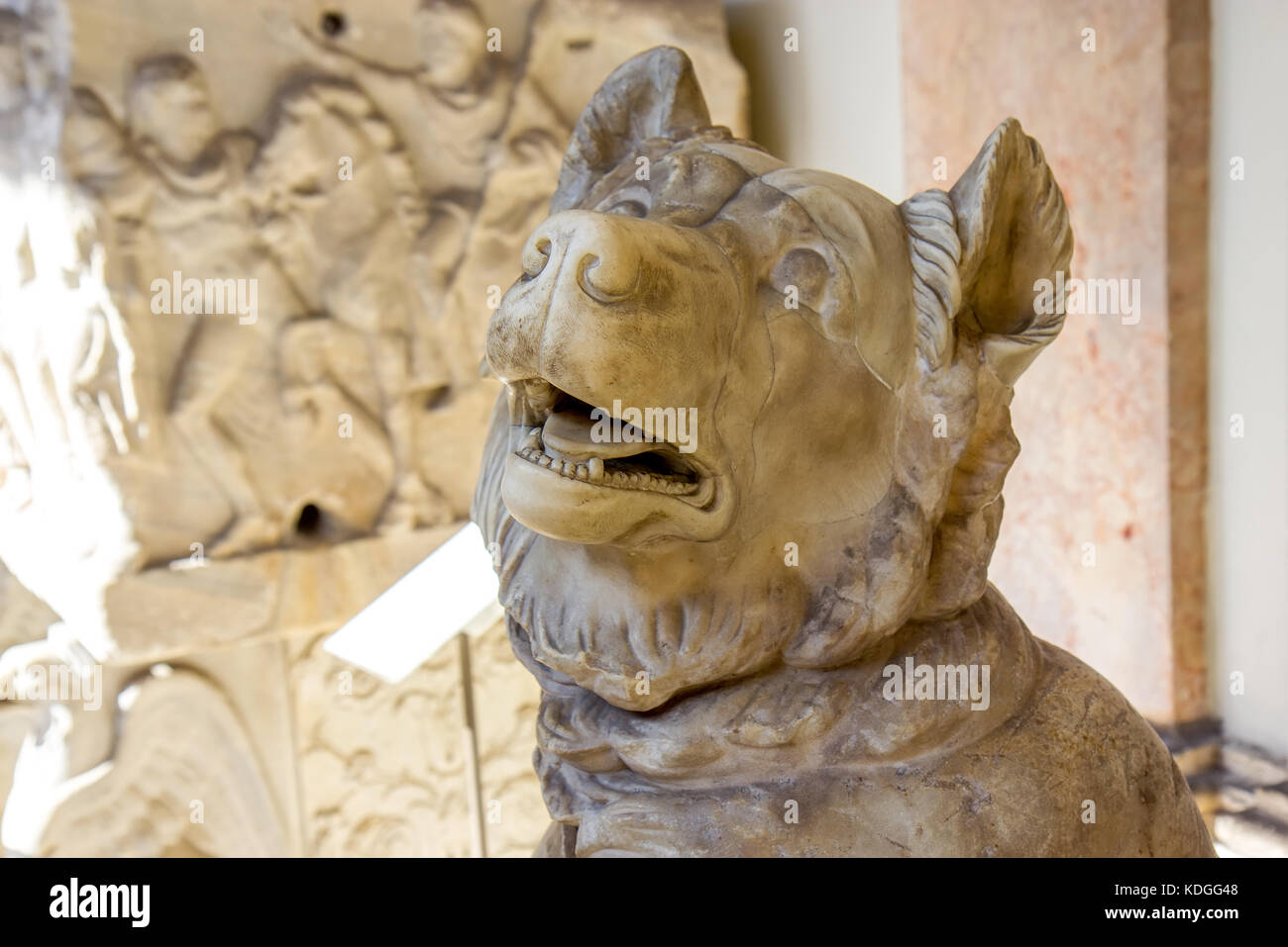 Imperiale Römische großer Hund Skulptur, Kopie eines hellenistische Bronzestatue original des 3. Bc. in der Vatikanischen Museen. Stockfoto