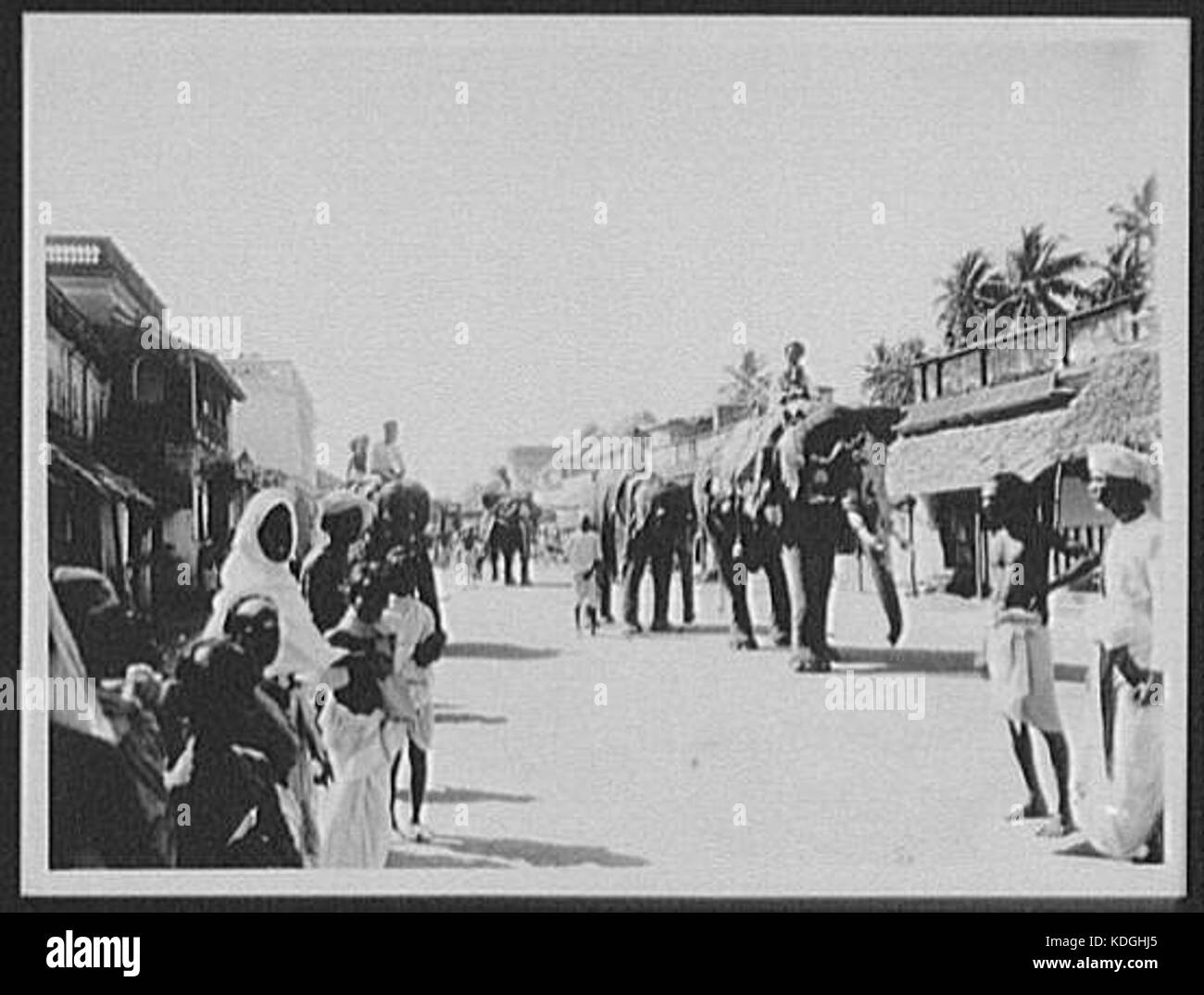 Madura Straße Prozession mit Männern auf Elefanten LCCN 2004707328 Stockfoto