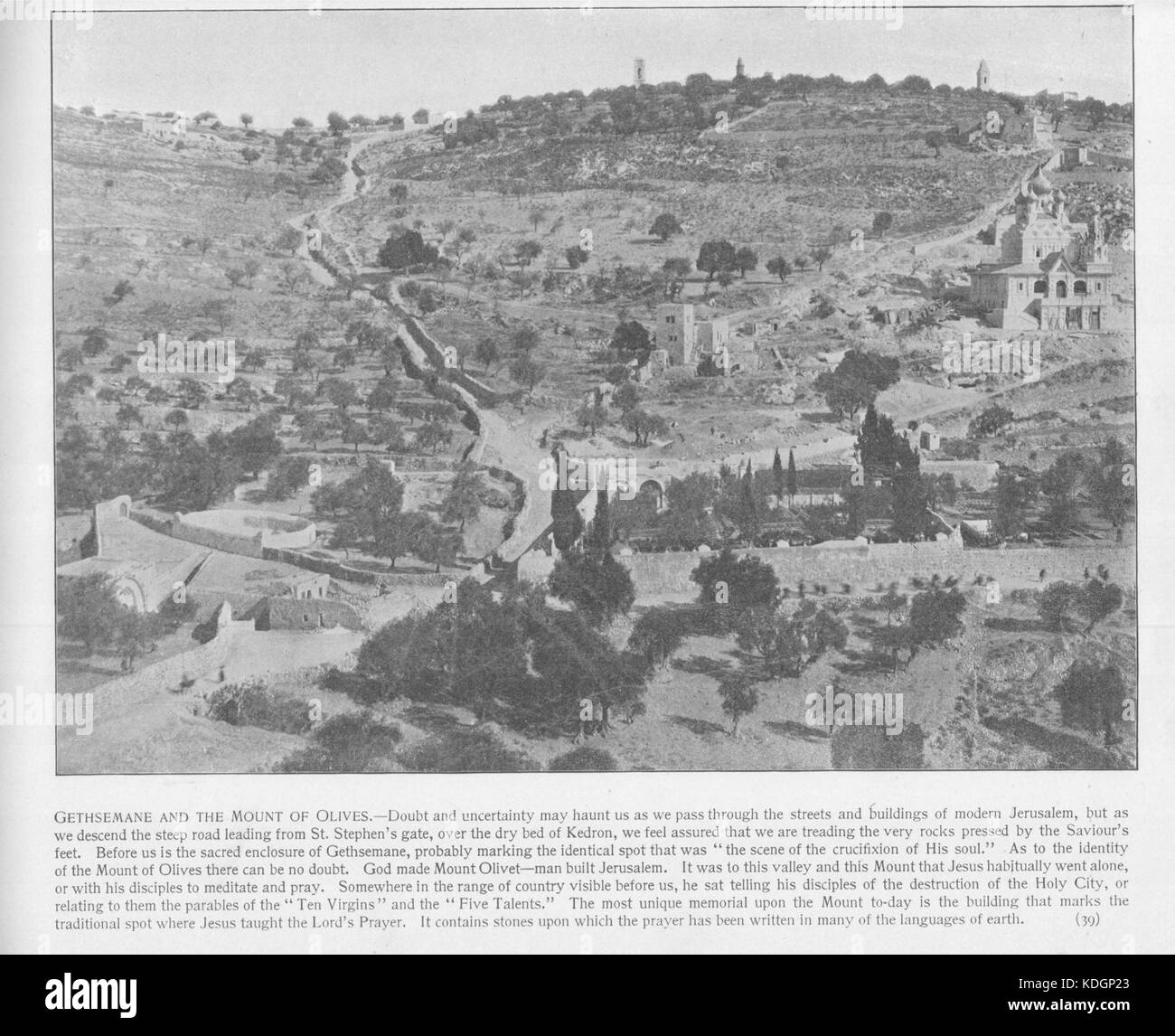 Außerhalb von Jerusalem. Gethsemane (Ölberg), 39. Die Heiligen Land fotografiert. Daniel B. Shepp. 1894 Stockfoto