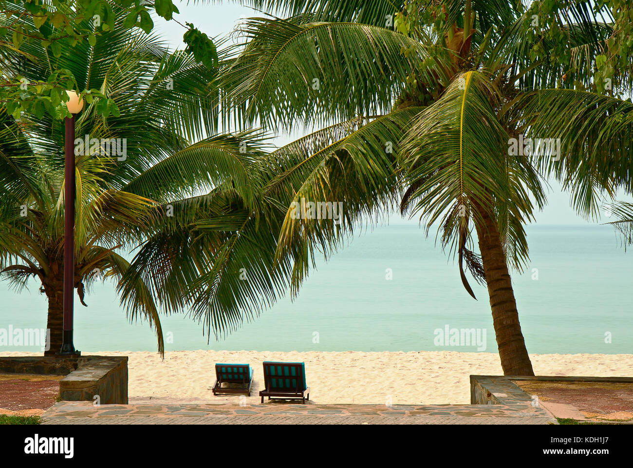 Tropischer Strand mit Palmen und weißem Sand Stockfoto