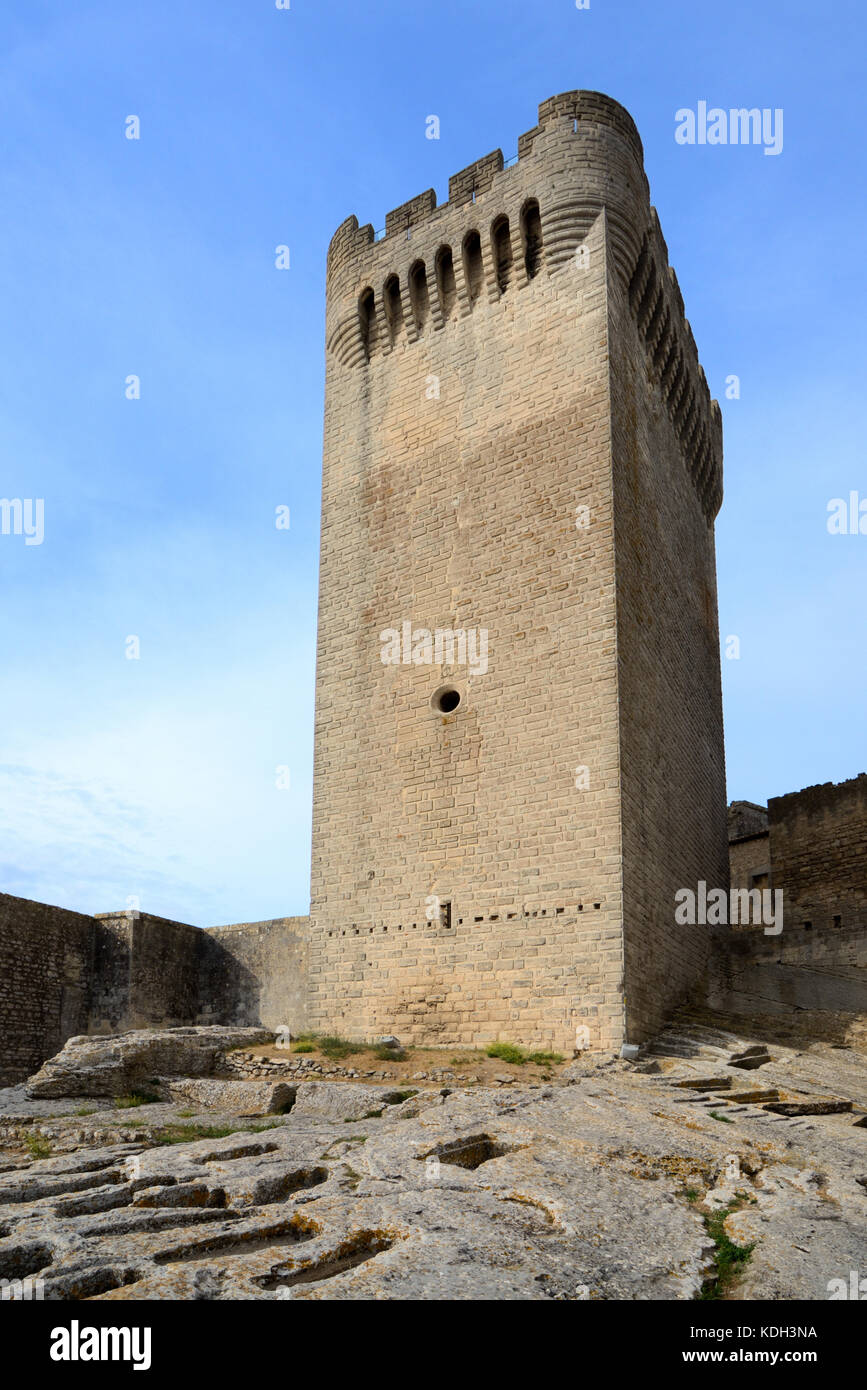 Mittelalterlicher Turm des Abtes Pons de l'Orme (14. Jahrhundert) und Felsengräber oder Friedhof, Abtei Montmajour, in der Nähe von Arles, Provence Frankreich Stockfoto