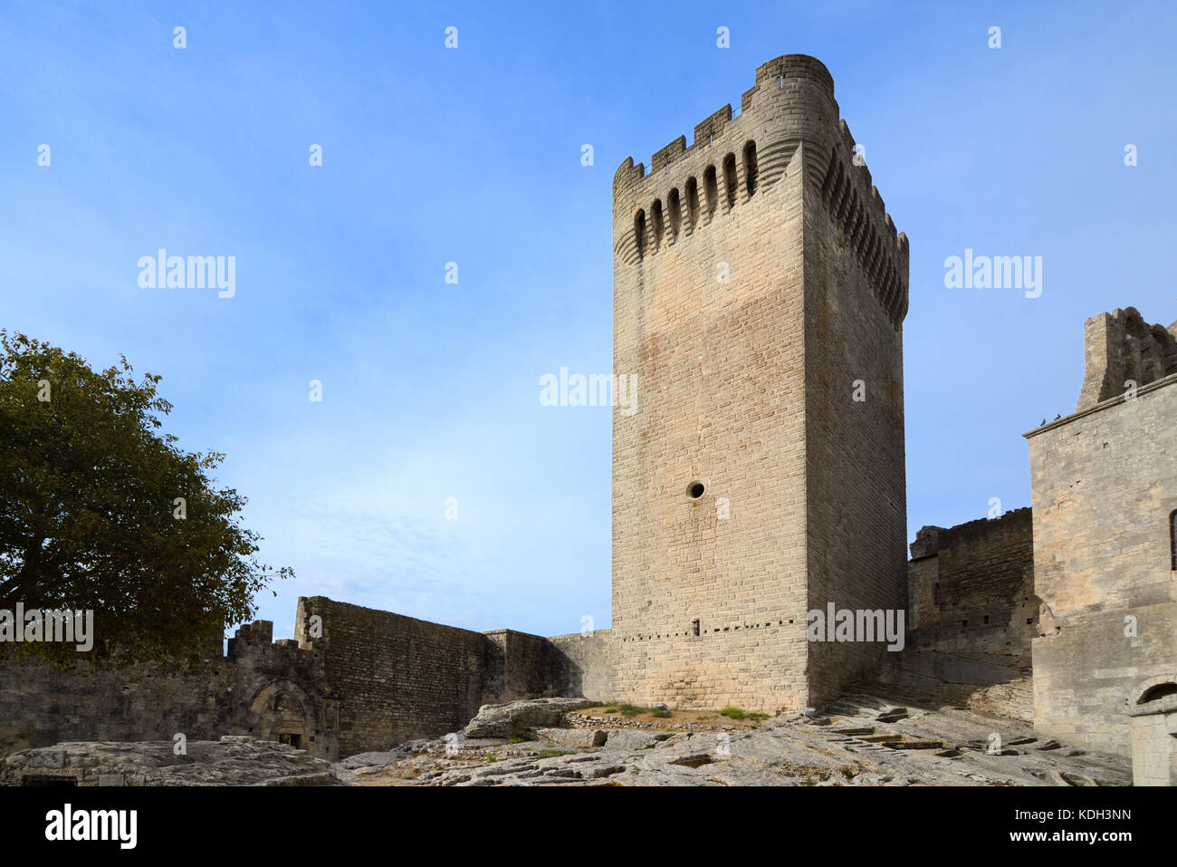 Mittelalterlicher Turm des Abtes Pons de l'Orme (14. Jahrhundert) Abtei Montmajour, in der Nähe von Arles, Provence Frankreich Stockfoto