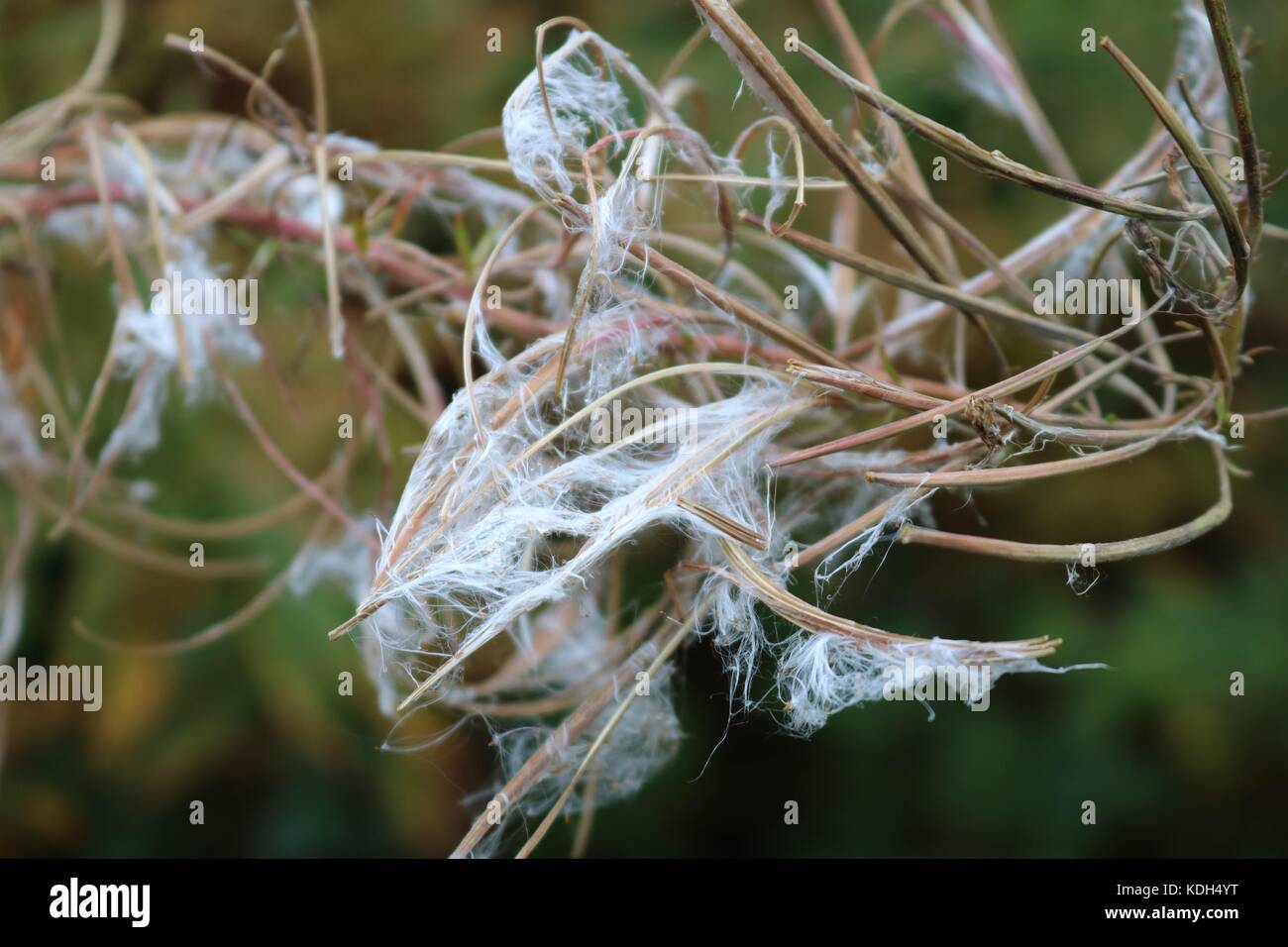 Atemberaubend Stockfoto