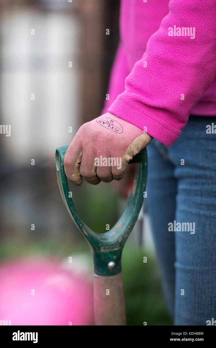 Gärtner tragen rosa Gartenhandschuhe Holding einen Garten Gabel. Selektive konzentrieren. Flache DOF Stockfoto