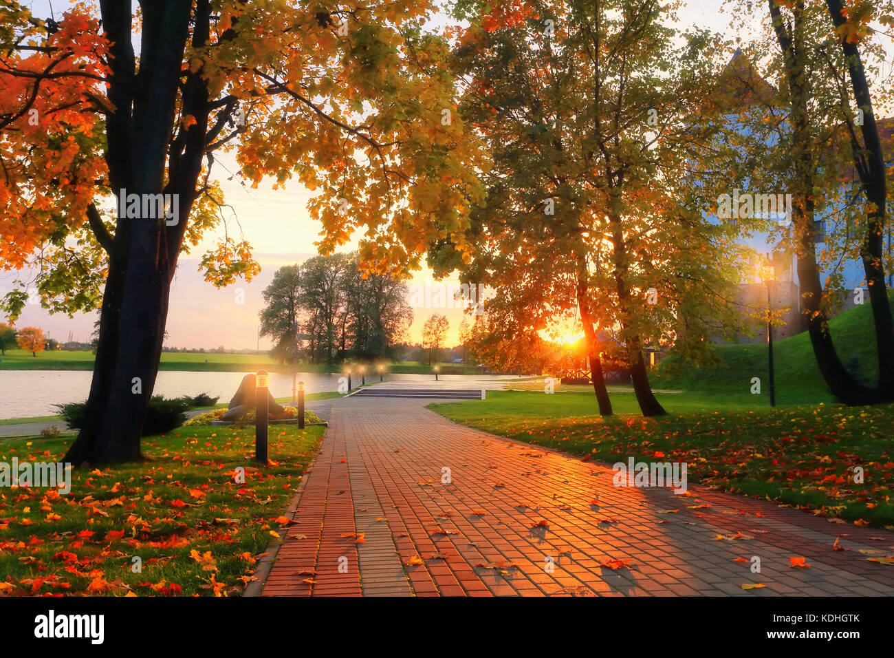 Herbst Herbst Szene. Ahorn Bäume mit bunten Laub im Park im abendlichen Sonnenlicht. schönen Herbst Hintergrund. Stockfoto