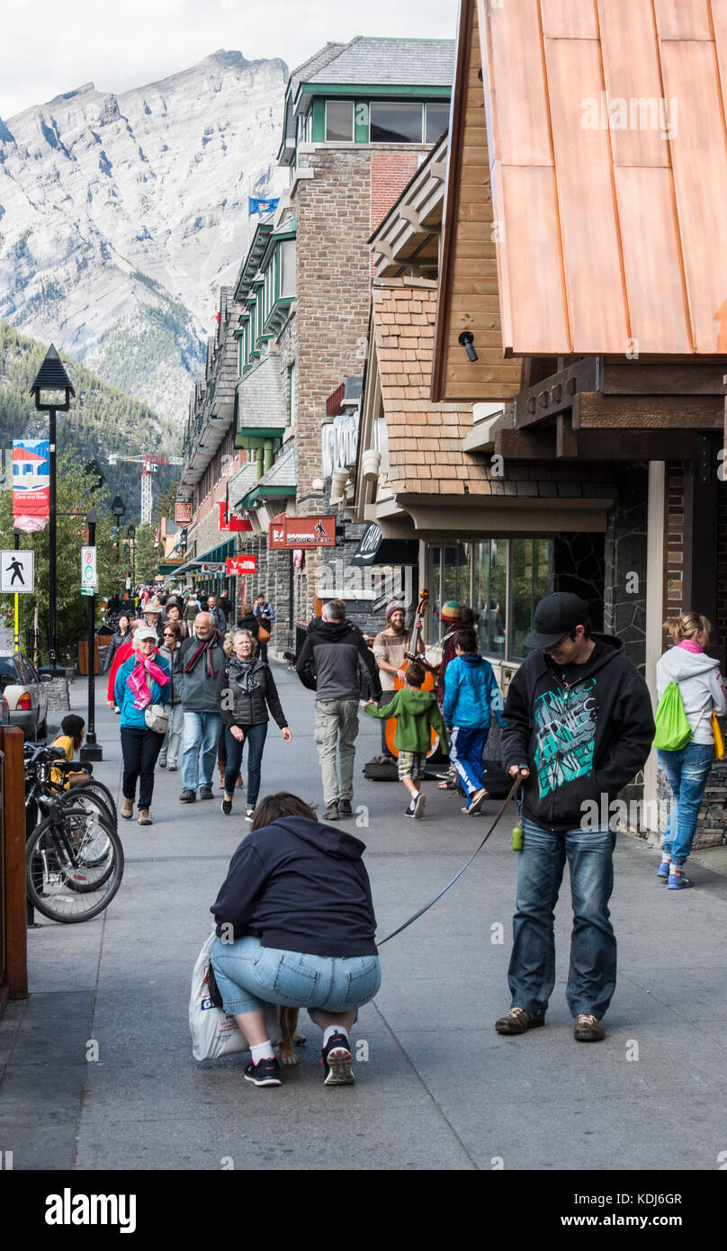 Banff, Alberta/Kanada - 31. August 2015: eine Frau kniet auf Pet einen Hund auf der Banff Avenue in Banff, Alberta. Stockfoto