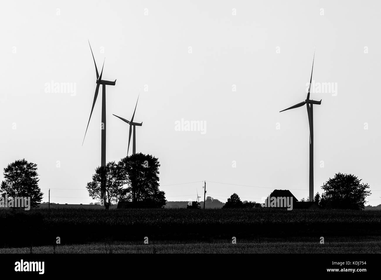 Windenergieanlagen in einem Windpark für Bewässerung und alternative Energieerzeugung. Stockfoto