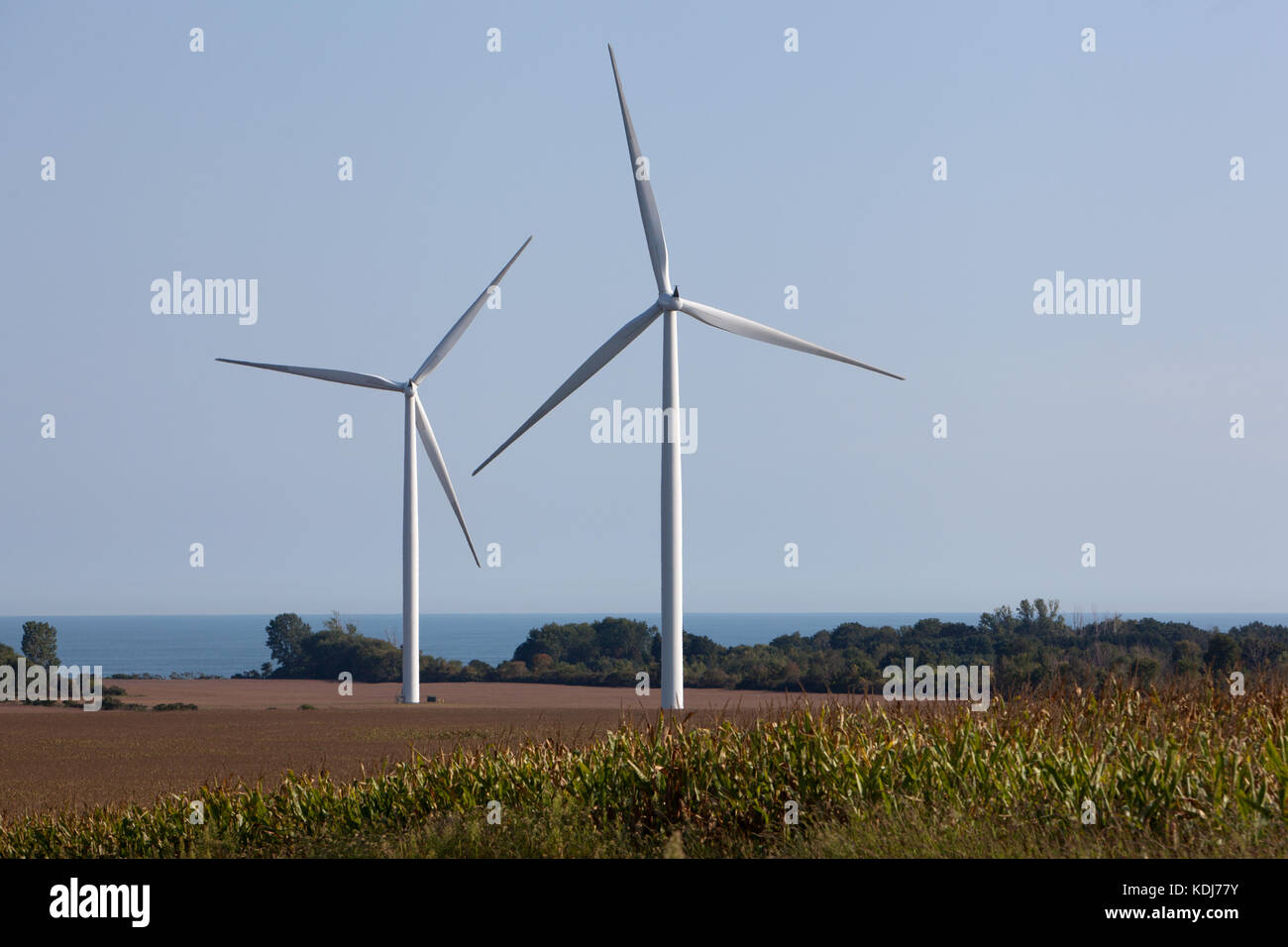 Windenergieanlagen in einem Windpark für Bewässerung und alternative Energieerzeugung. Stockfoto