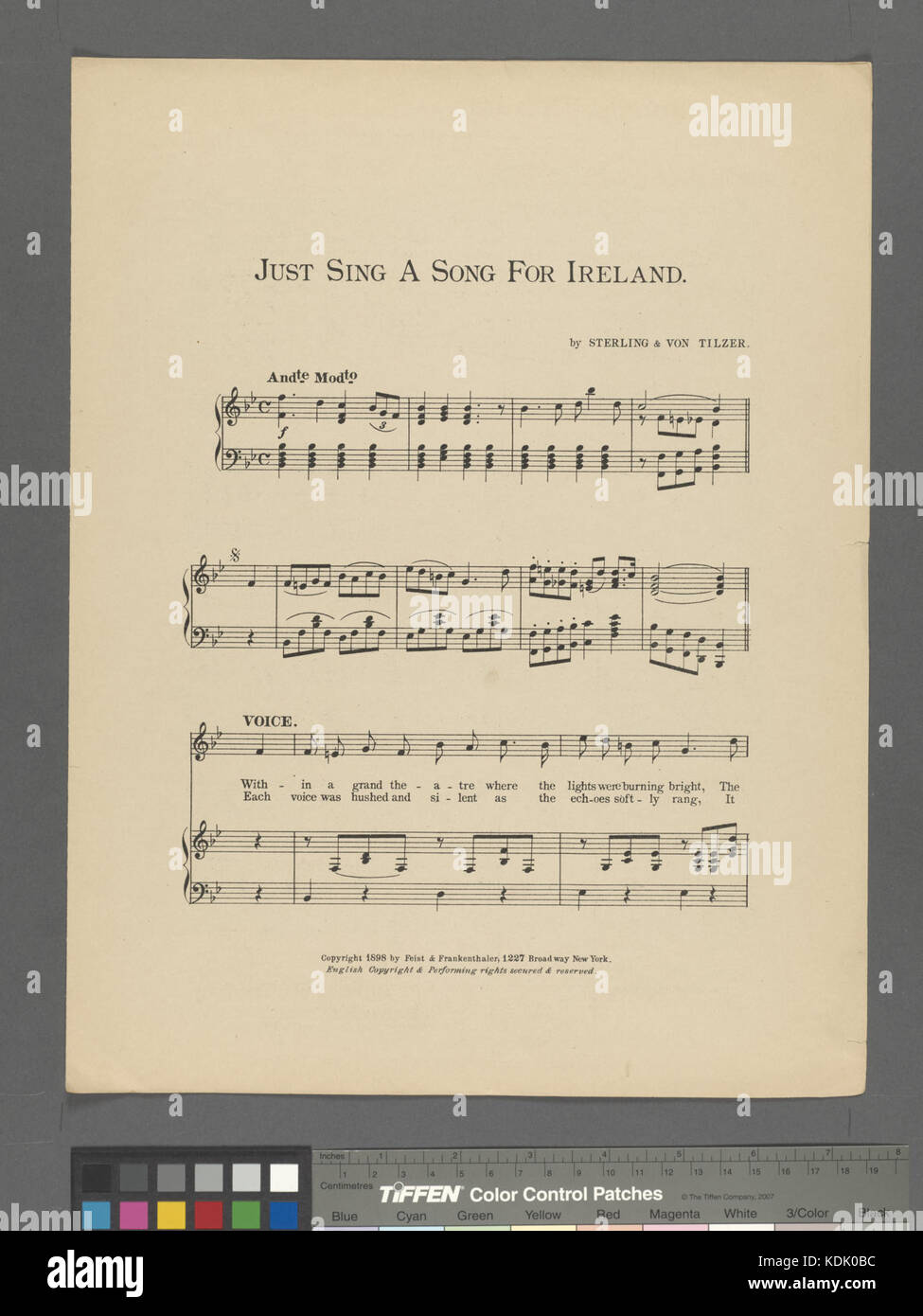 Nur ein Lied singen für Irland (NYPL Hades 609894 1805376) Stockfoto