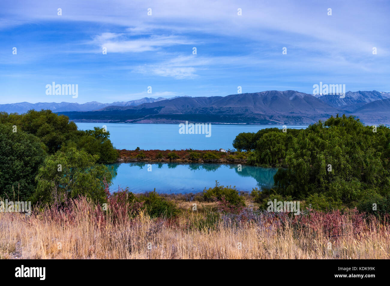 Tekapo, Canterbury • Neuseeland zwei große eiszeitliche Seen liegen im zentralen Teil der südlichen Alpen: pūkaki (lef Stockfoto